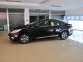 雅尊 2.4L 自动 旗舰型 2011款图片
