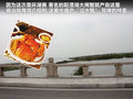 瑞虎 图片