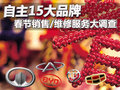 瑞虎 图片