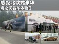 沃尔沃S60（进口） 图片