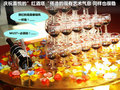 瑞风 图片