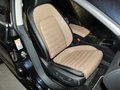 Arteon(进口) The CC 3.6 FSI 顶配版 2012款图片