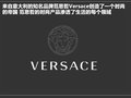 菲亚特500 图片