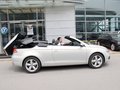 大众EOS EOS 2.0TSI DSG 2011款 图片