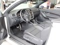 大众EOS EOS 2.0TSI DSG 2011款 图片