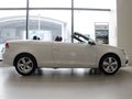 大众EOS EOS 2.0TSI DSG 2011款 图片