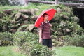 帕拉丁 图片