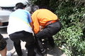 帕拉丁 图片