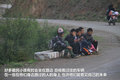 帕拉丁 图片