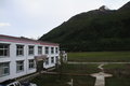 帕拉丁 图片