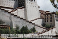 帕拉丁 图片