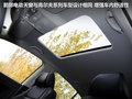 高尔夫(进口) 图片