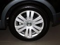 高尔夫(进口) Cross Golf 1.4 TSI 2011款图片