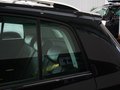 高尔夫(进口) Cross Golf 1.4 TSI 2011款图片