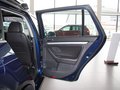 高尔夫(进口) 2011款 1.4TSI DSG 豪华版图片