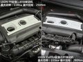 Leon 图片