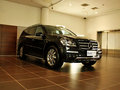 奔驰GL级 2011款 GL450 Grand Edition尊贵型图片