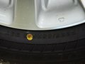 Sienna 2012款 塞纳图片