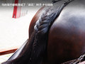 起亚Ceed 图片