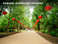 起亚Ceed 图片