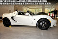Elise 图片
