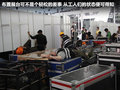 菲跃 2012款 菲跃图片