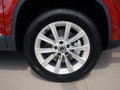 Tiguan 图片