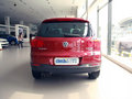 Tiguan 图片