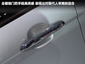 赛拉图 图片