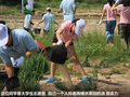 凯美瑞 图片