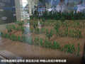 凱美瑞 圖片