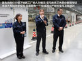 宝马3系 图片