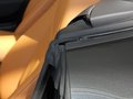 寶馬Z4 Z4 sDrive28i 領(lǐng)先型 2012款圖片