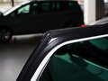 邁騰(進(jìn)口) 邁騰旅行版 2.0TSI 舒適型 2012款圖片