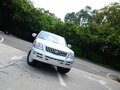 雄狮 2010款 2.0T MT 柴油版图片