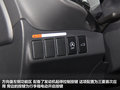 欧蓝德（进口） 图片