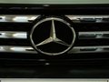 奔驰G级AMG 2009款 G55 AMG图片
