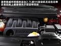 菲跃 图片