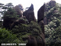 奔驰M级 图片