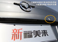 福美来 图片