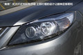 福美来 图片