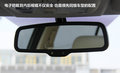 福美来 图片