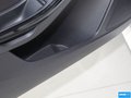福克斯 图片