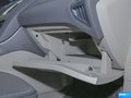 福克斯 图片