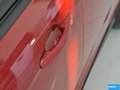 福克斯 图片