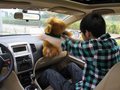 蒙派克E 图片