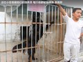 奥轩G5 图片