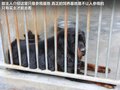 奥轩G5 图片