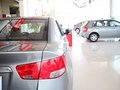 福瑞迪 2012款 福瑞迪 1.6L MT GL纪念版图片