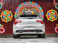 DS 5(进口) 图片